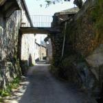 Aldosende