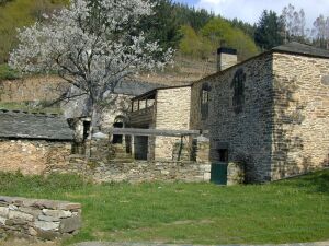 Mosteiro de San Facundo de Ribas de Miño